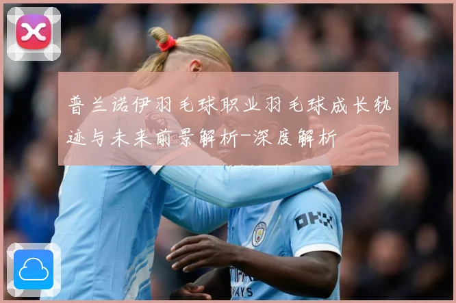 普兰诺伊羽毛球职业羽毛球成长轨迹与未来前景解析-深度解析